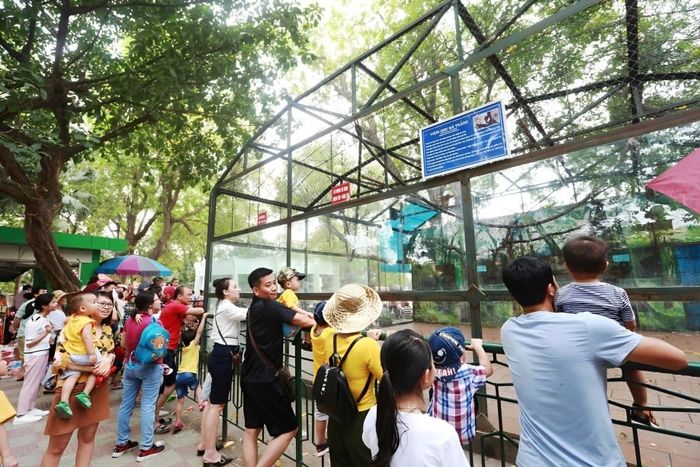 Xe điện đụng Hà Nội