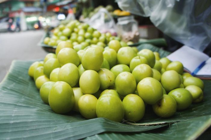 Khám phá Đồ Sơn tự túc để trải nghiệm những điều thú vị - Phần 11