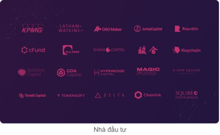 Nhà đầu tư của Astra Protocol