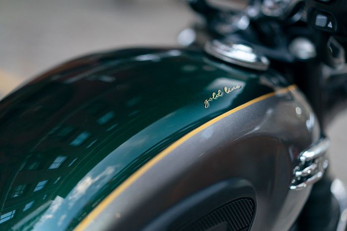 Khám phá 8 phiên bản đặc biệt của Triumph Bonneville Gold Line Edition Special-Edition-T120-Gold-Line-Details.jpg