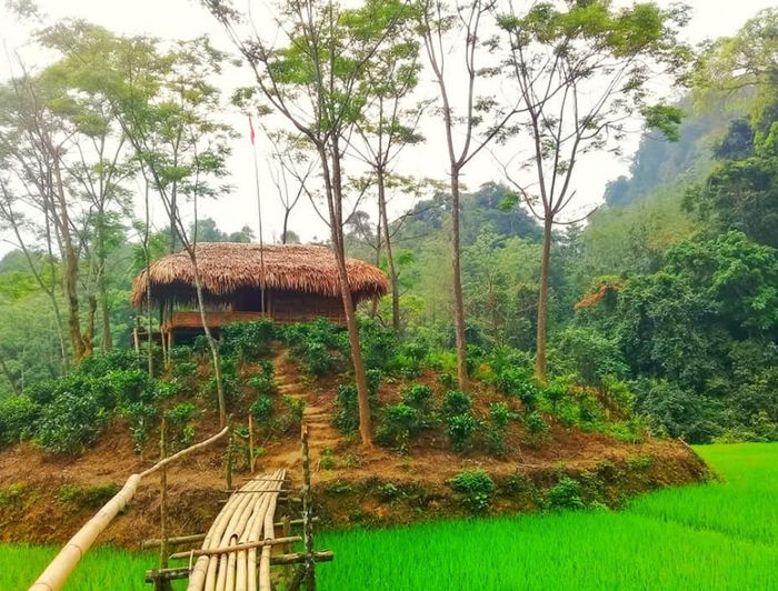 Thưởng thức vẻ đẹp dịu dàng của Thác Tạt Nàng trên cao nguyên Mộc Châu