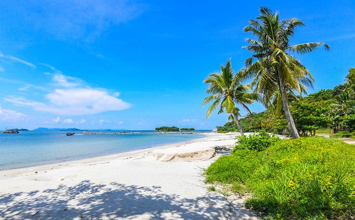 Hướng dẫn tận tình về phương tiện đi đảo Hải Tặc từ A đến Z 2