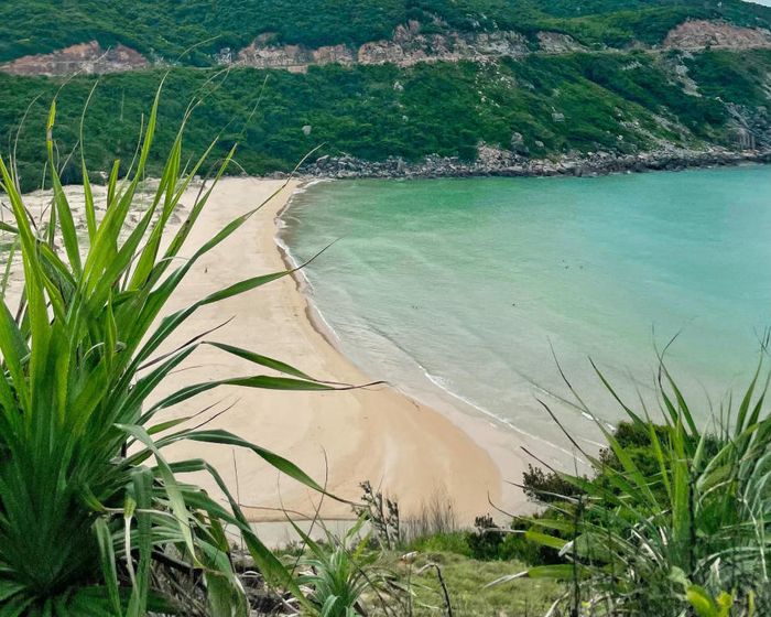 Đến Mũi Điện Phú Yên khám phá vẻ đẹp tuyệt mỹ điểm cực Đông Việt Nam 4