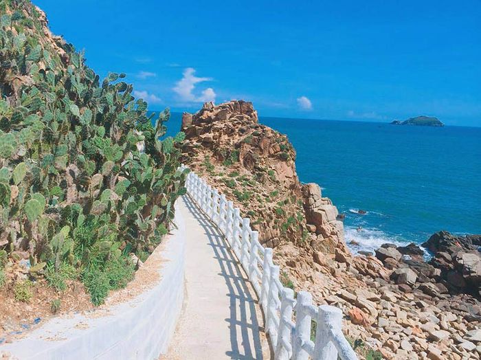 Hành trình chinh phục vẻ đẹp hoang sơ, hùng vĩ của Eo Gió Quy Nhơn giữa miền Trung đất trời