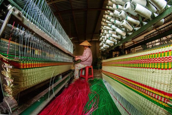 Thăm làng nghề dệt chiếu cói An Xá - Lệ Thuỷ Quảng Bình 8