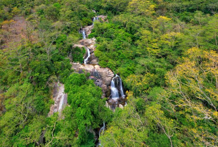 Kinh nghiệm trekking Núi Chúa, tắm biển Bình Hưng để hè trở nên sôi động hơn