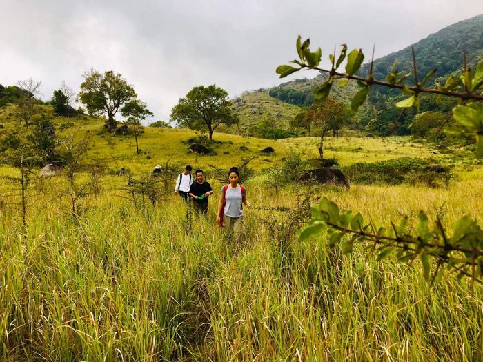 Kinh nghiệm trekking Núi Chúa, tắm biển Bình Hưng để mùa hè thêm phần hứng khởi