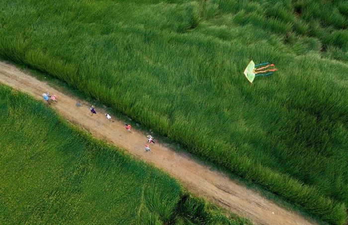 Thăm làng nghề dệt chiếu cói An Xá - Lệ Thuỷ Quảng Bình 4