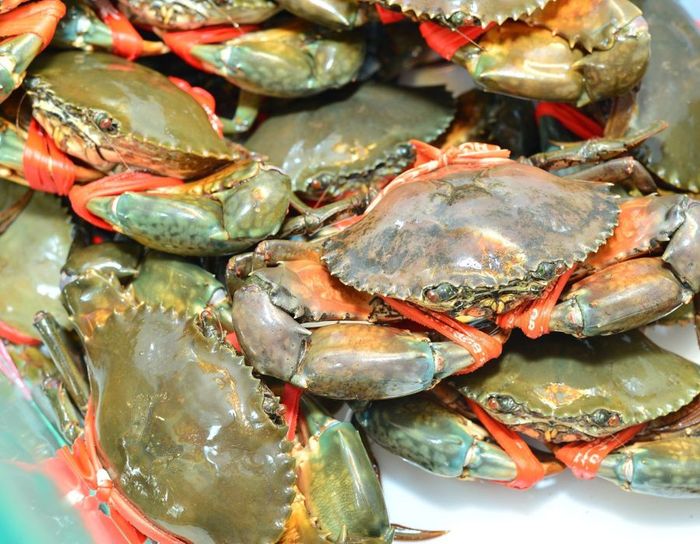 Những đặc sản từ Cua Cà Mau và danh sách món ngon mà bạn nhất định phải thử 2