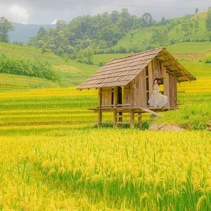 Khe thung lũng Nậm Cang ở Sapa, nơi bầu trời trong lành giữa những dãy núi cao phía Tây Bắc 6