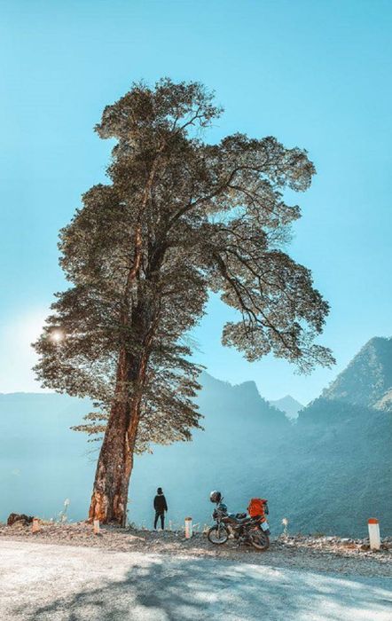 Khi đến Quản Bạ Hà Giang, đừng quên ghé thăm 5 điểm check-in độc đáo này.