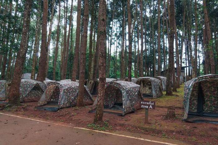 Công viên Quốc gia Doi Inthanon - Ngôi nhà lớn của Thái Lan tại Chiang Mai 8