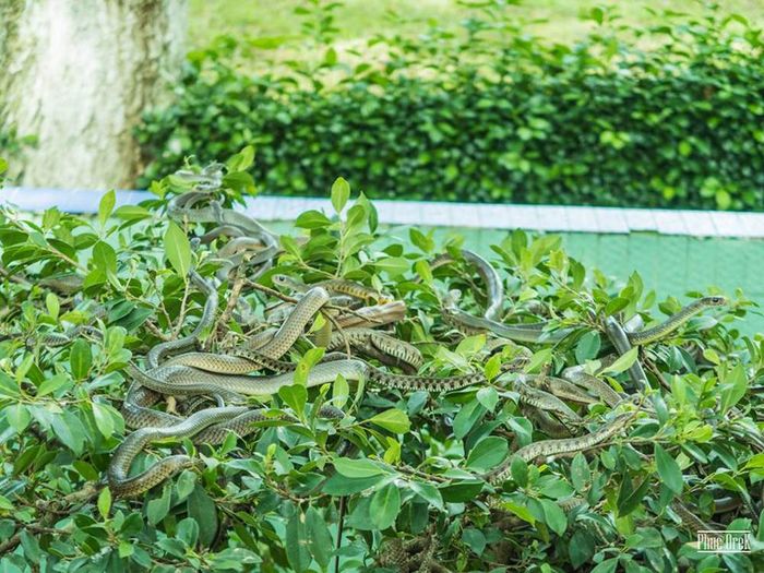 Gợi ý lịch trình khám phá Tiền Giang 2 ngày từ TPHCM 7