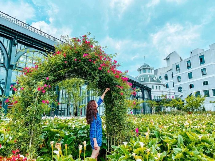 Thung lũng hoa hồng Sapa là nơi lý tưởng để bạn thỏa sức check-in với những khoảnh khắc ngọt ngào