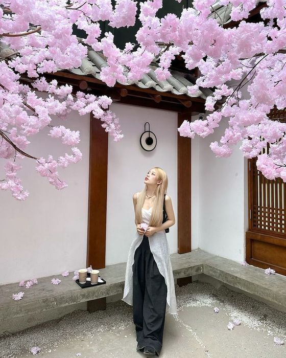 Khám phá điều gì tại Daeshim Coffee, quán cà phê theo phong cách Hàn xinh đẹp