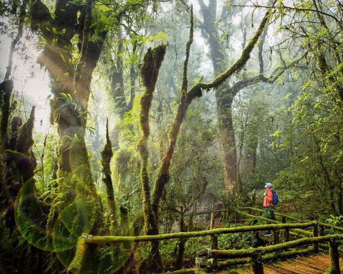Công viên Quốc gia Doi Inthanon - Ngôi nhà lớn của Thái Lan tại Chiang Mai 7