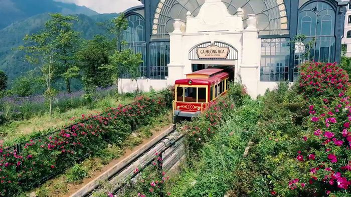 Lang thang giữa thung lũng hoa hồng Sapa, huyền bí như chuyện cổ tích