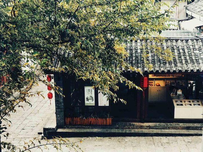 Khám phá Lệ Giang cổ trấn, một chuyến phiêu lưu xuyên thời gian 6