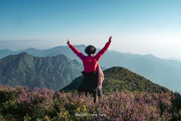 Dưới bóng Rừng hoa Chi Pâu trên Tà Chì Nhù, mơ mộng và làm say lòng người.