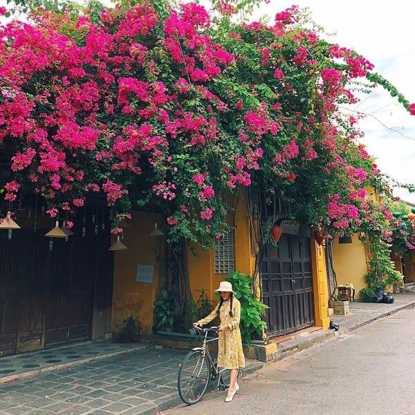 kinh nghiệm du lịch Đà Nẵng - Huế - Hội An