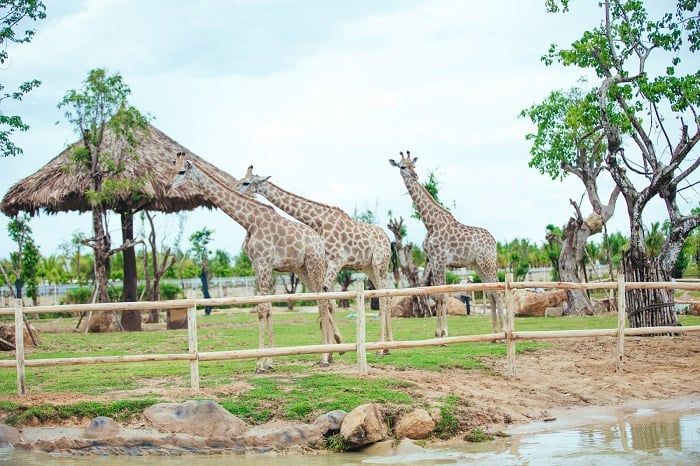 kinh nghiệm du lịch Đà Nẵng - Huế - Hội An