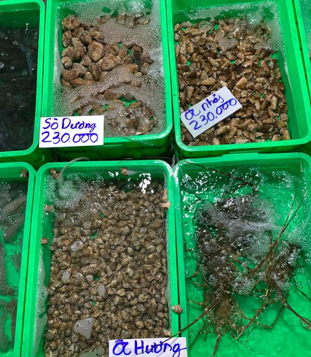 Bát cháo Nha Trang