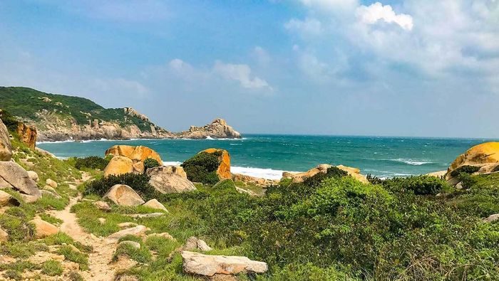 Say mê trước vẻ đẹp của Vịnh Vân Phong 16