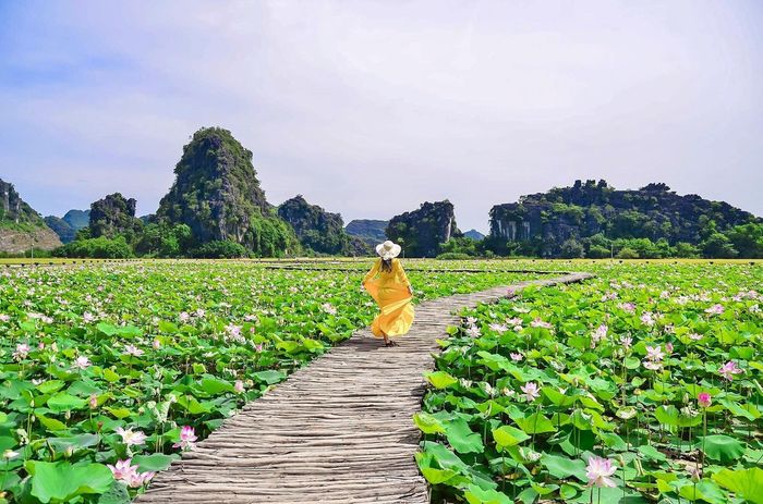 Khám phá đặc sản từ sen tươi Ninh Bình với hương vị đồng quê 2