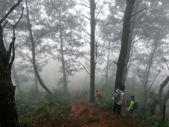 Hướng dẫn trải nghiệm 72 giờ chinh phục Tà Xùa 4