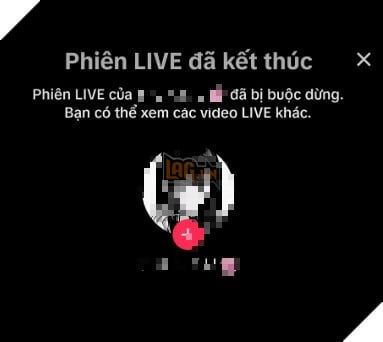 Xuất hiện game thủ dũng cảm livestream máy chủ thử nghiệm Genshin Impact 4.4