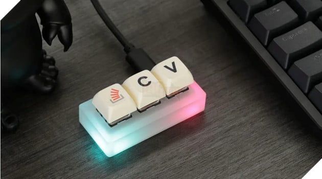 Một khảo sát chỉ ra rằng 40% sinh viên không biết sử dụng CTRL+C và CTRL+V