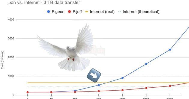 Chim bồ câu có thể truyền dữ liệu nhanh hơn cáp quang không? 