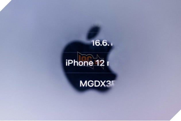 Apple đã giải quyết lo ngại về bức xạ trên iPhone 12