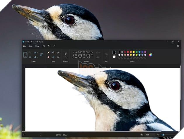 Paint trên Windows 11 đã được cập nhật với tính năng xóa phông nền một cách vô cùng đơn giản.