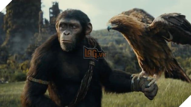 Đạo diễn của Kingdom of the Planet of the Apes tiết lộ phần bối cảnh chính của bộ phim