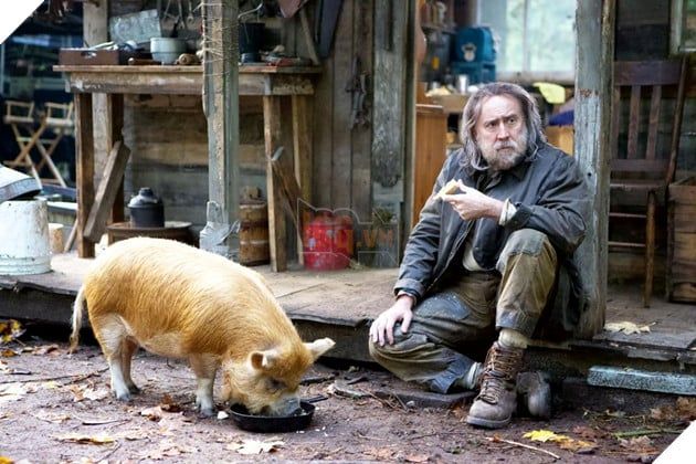 Francis Ford Coppola rất tự hào khi là chú của Nicolas Cage và đã xem Pig và Dream Scenario 3.