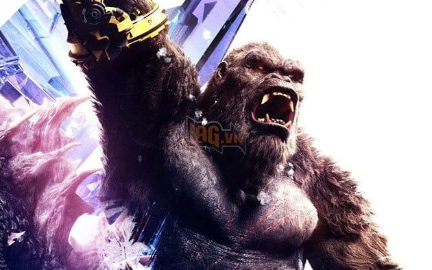 Godzilla x Kong: Đế Chế Mới Có Trailer Mới, Tiết Lộ Nhiều Cảnh Hành Động Hơn