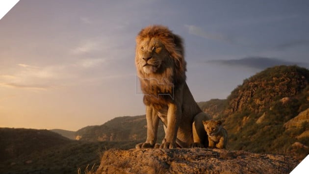 Phần tiền truyện live-action The Lion King về vua Mufasa hứa hẹn sẽ khám phá những khía cạnh mới 3