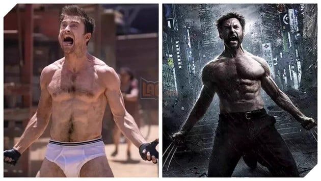 Người hâm mộ mong đợi Daniel Radcliffe sẽ tham gia vai Wolverine trong tương lai.