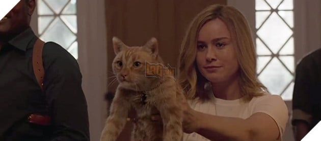 The Marvels: Khổ đau của Brie Larson khi không thể ghi hình cùng một diễn viên đặc biệt 2