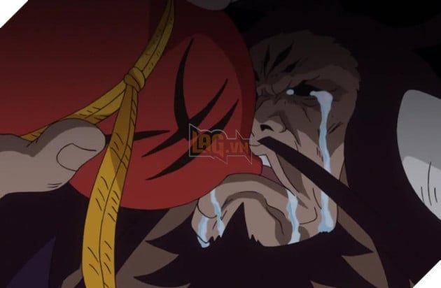 one piece tập 1064