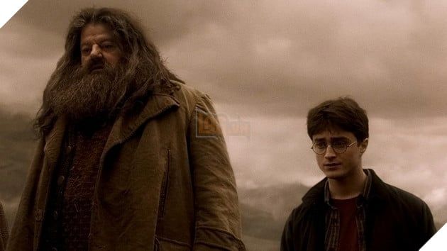 Harry Potter Hagrid