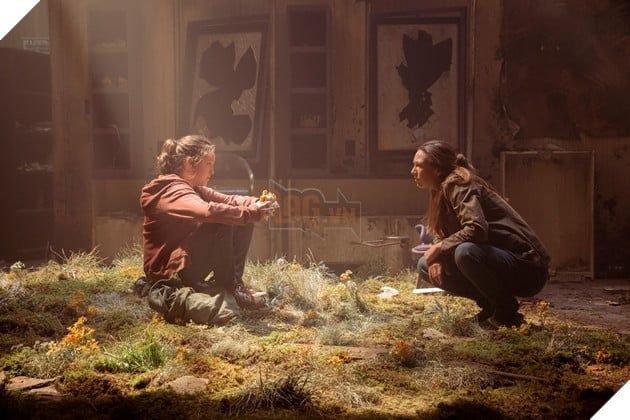 The Last of Us: Bào tử Nấm Cordyceps và Tầm quan trọng của Nó trong Cốt truyện