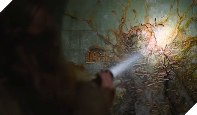 The Last of Us HBO: Khám phá nguồn gốc của nấm ký sinh Cordyceps trong thực tế (Phần 2)