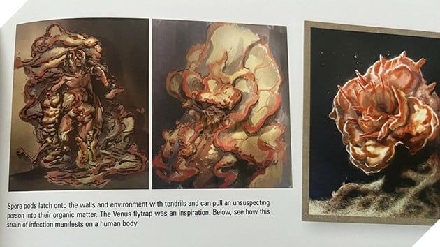 The Last of Us: Tầm quan trọng của Bào tử Nấm Cordyceps trong Cốt truyện Thương hiệu 6