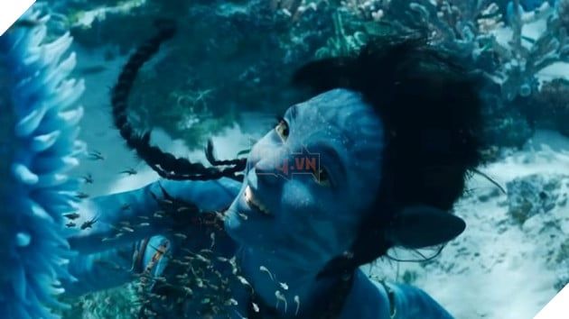 Avatar 2 bị kêu gọi tẩy chay vì phân biệt chủng tộc và nội dung nhàm chán