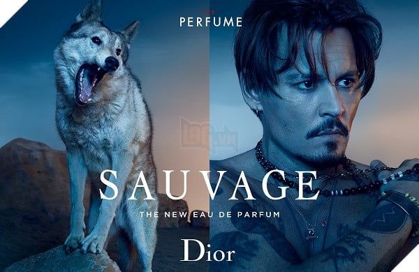 johnny depp và nước hoa Dior Sauvage