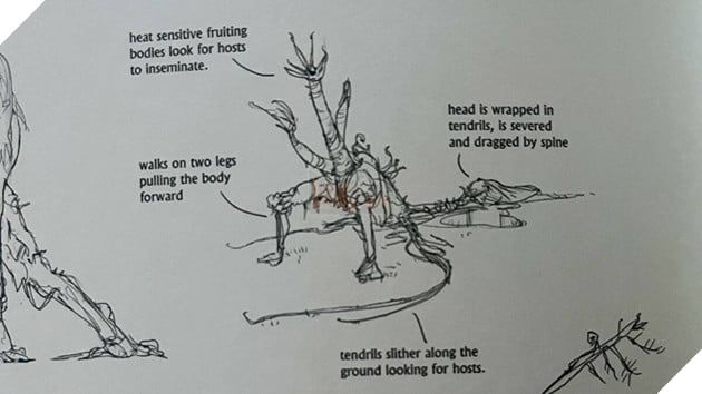 The Last of Us: Tầm quan trọng của Bào tử Nấm Cordyceps trong Cốt truyện Thương hiệu 7