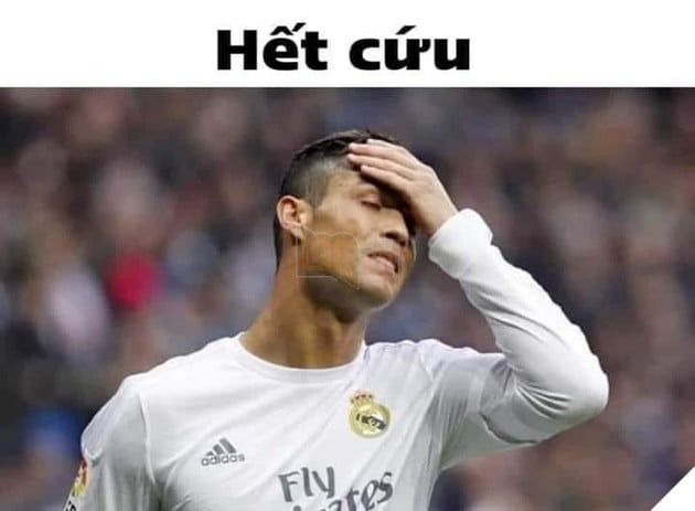 Bạn có biết Meme Hết Cứu không?