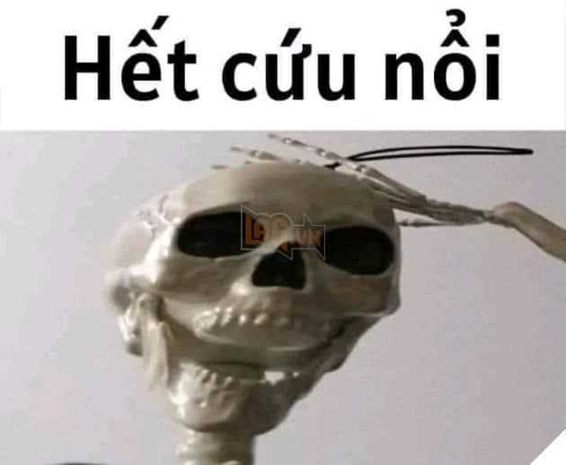 Bạn đã biết về Meme Hết Cứu chưa?